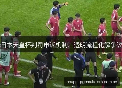 日本天皇杯判罚申诉机制，透明流程化解争议
