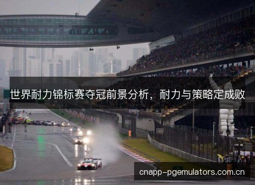世界耐力锦标赛夺冠前景分析，耐力与策略定成败